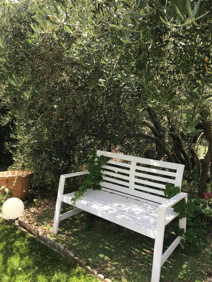 Chambre D Hotes Au Coeur Des Oliviers Marsilya Dış mekan fotoğraf