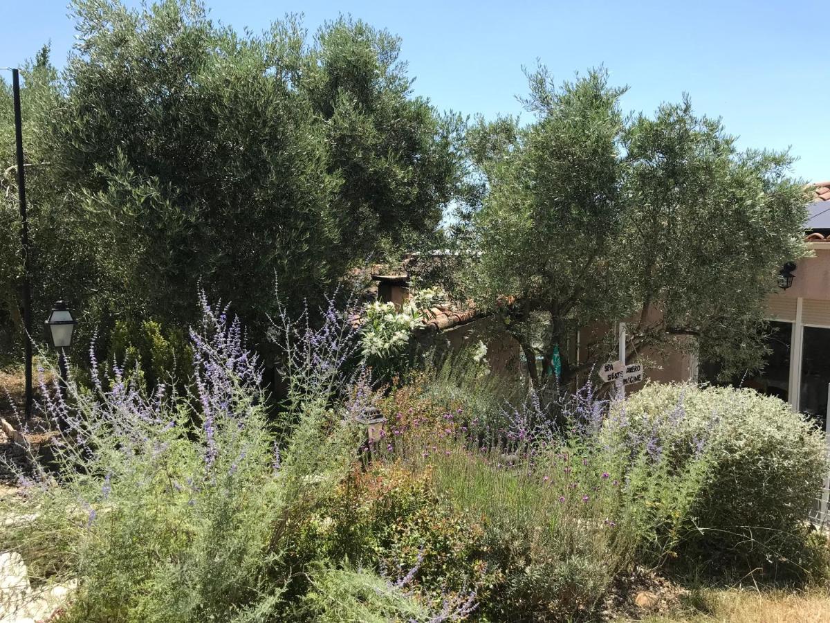 Chambre D Hotes Au Coeur Des Oliviers Marsilya Dış mekan fotoğraf
