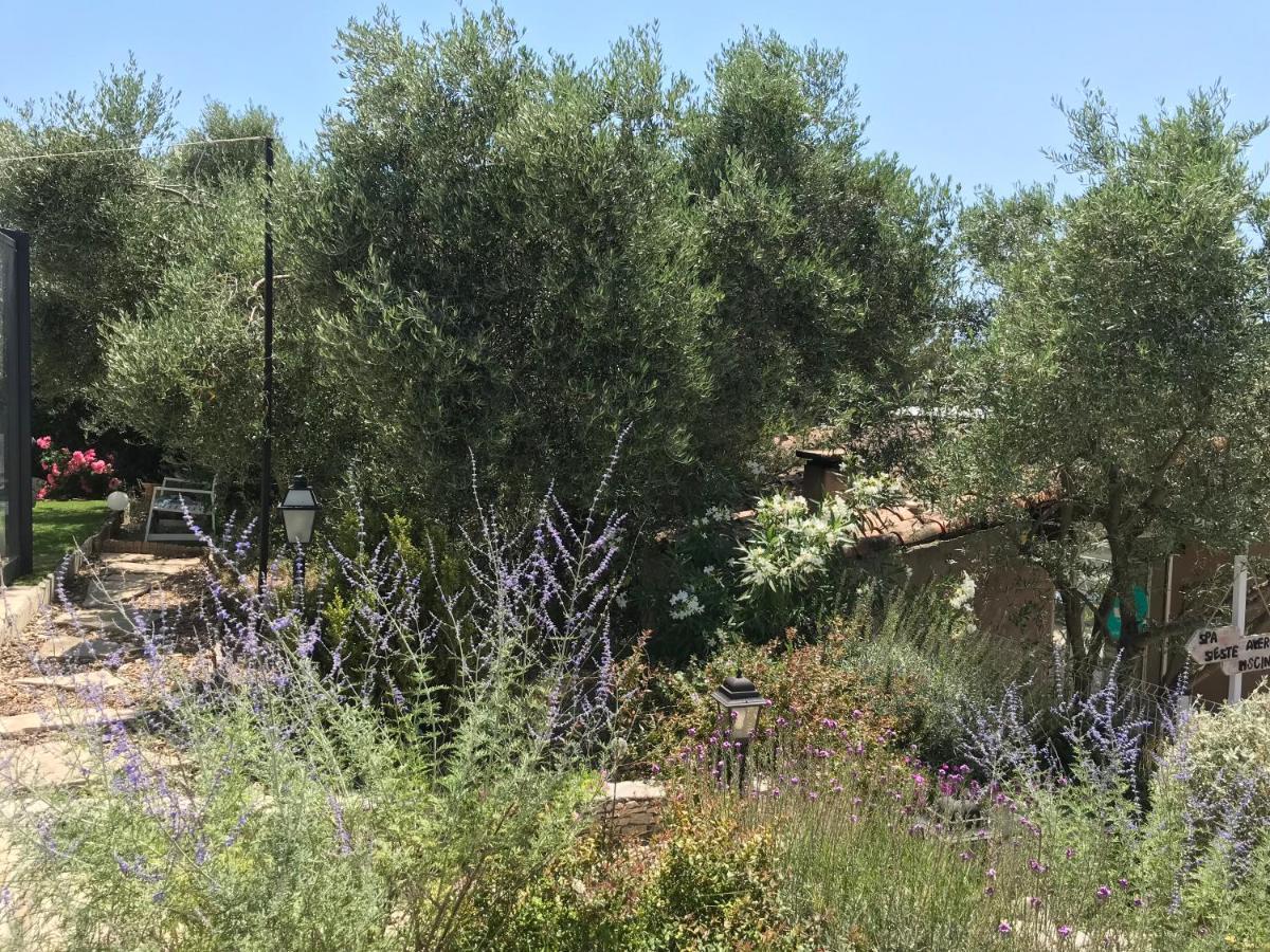 Chambre D Hotes Au Coeur Des Oliviers Marsilya Dış mekan fotoğraf